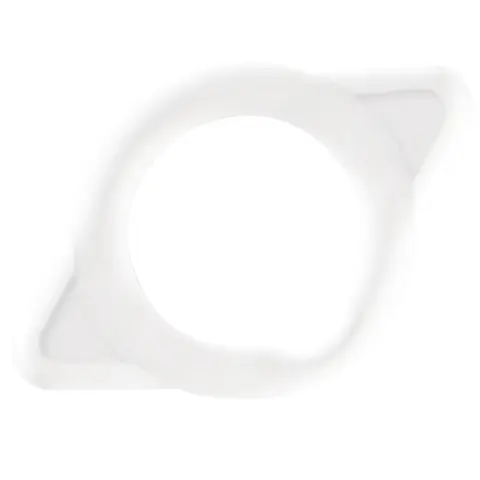 Maximus Ring Klein